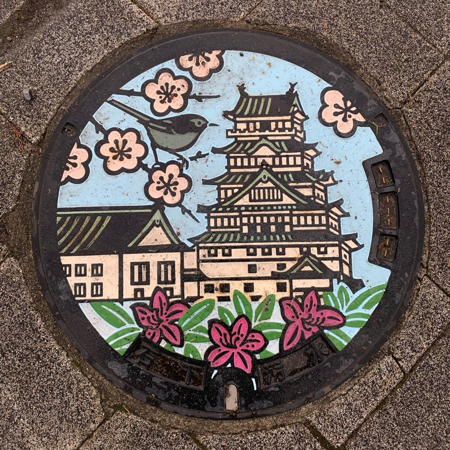 Il castello di Toyoda