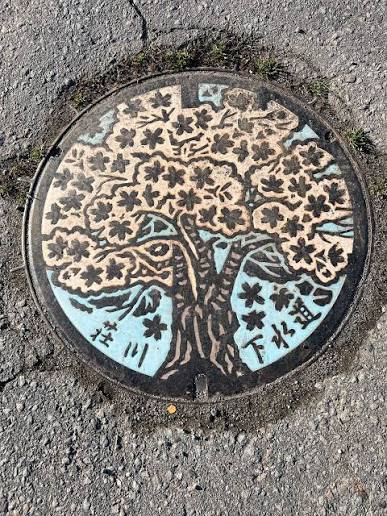 Shōkawa Sakura